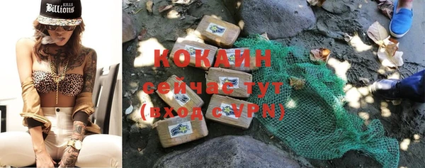 PSILOCYBIN Ростов