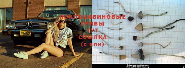 прущий лед Россошь