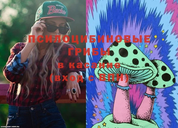 Альфа ПВП Алексин