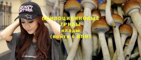 PSILOCYBIN Ростов
